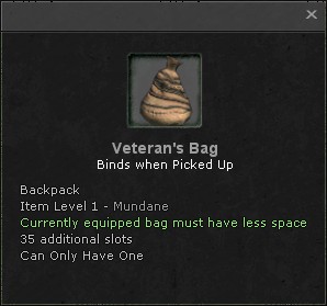 Veterans bag