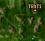 Thumbnail for version as of 03:52, August 7, 2006
