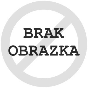 Plik:Brak obrazka.jpg