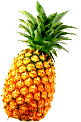 pine apple women Howdy i’m a desperate housewife i live in the country i’m obsessed with butter, basset hounds, and ethel merman welcome to my frontier. pine apple women Howdy i’m a desperate housewife i live in the country i’m obsessed with butter, basset hounds, and ethel merman welcome to my frontier.