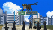 Kuro no cree la muerte de Shiro.png