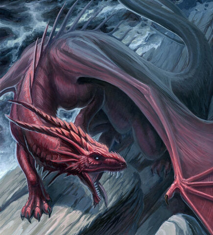File:Dracino.jpg