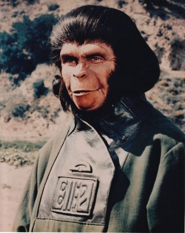 File:Zira half.jpg