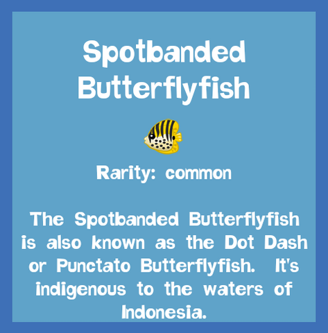 File:Fish2 Spotbanded Butterflyfish.png