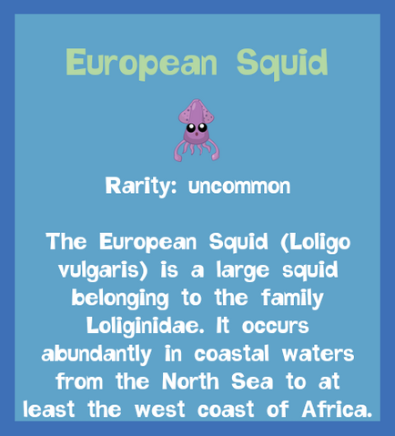 File:Fish2 European Squid.png