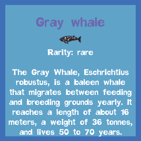 File:Fish2 Gray Whale.png