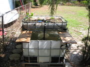IMG 0593
