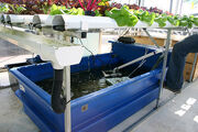 Aquaponics