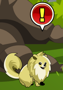 Daimyo pet