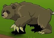 PineGrizzly