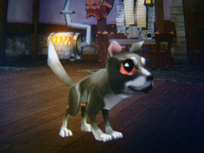 Chase 2