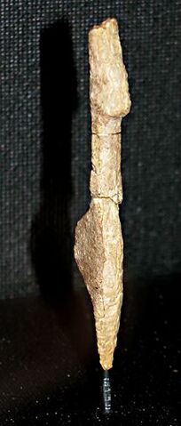 File:Nebra Venus.jpg