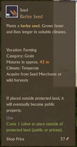 File:Barley Seed.jpg