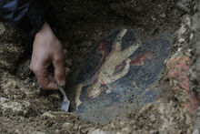 Decouvertes-archeologiques-de-l-Hotel-Dieu