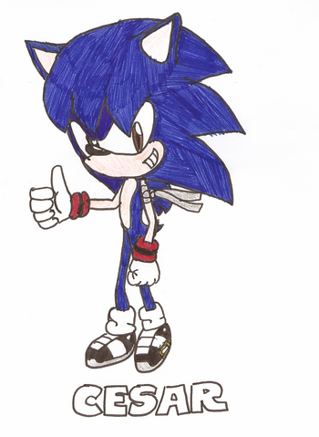File:Cesar the hedgehog by cesarthehedgehog-d3htw64.png