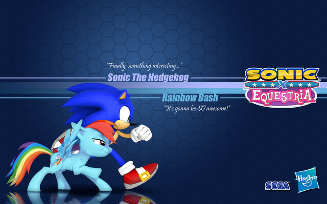 File:Sonic x equestria sonic and r dash wallpaper by static the hedgehog-d54osgd.jpg