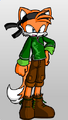 Thumbnail for version as of 14:18, June 17, 2012