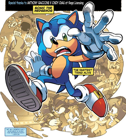 File:Sonic Remembers.jpg