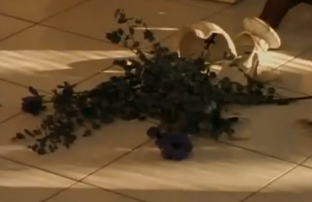 File:13curiouscamera.png