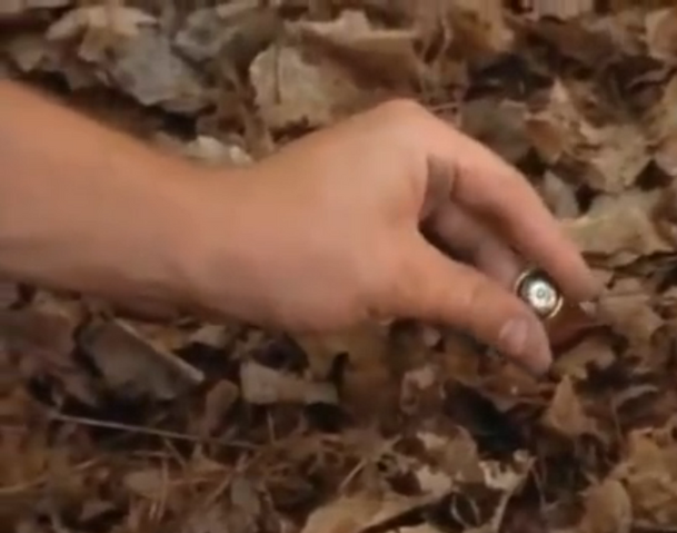File:Jimmyfindsanoldbutton.png
