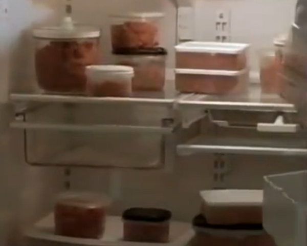 File:4Fullmoonrawmeatinfridge.png