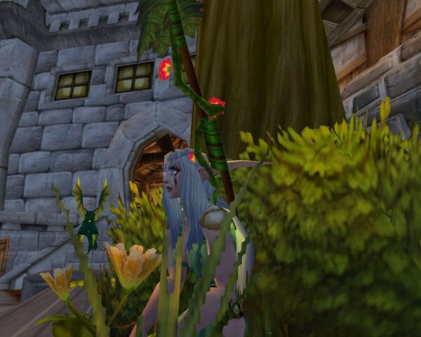 File:Rowain in Stormwind.jpg
