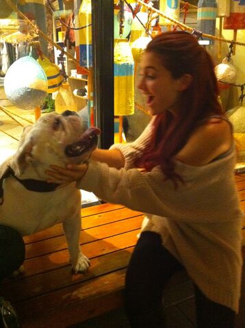 File:ArianaDog.jpg