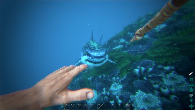 File:ARK-Megalodon Screenshot 006.jpg