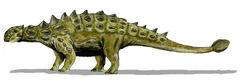 Euoplocephalus BW