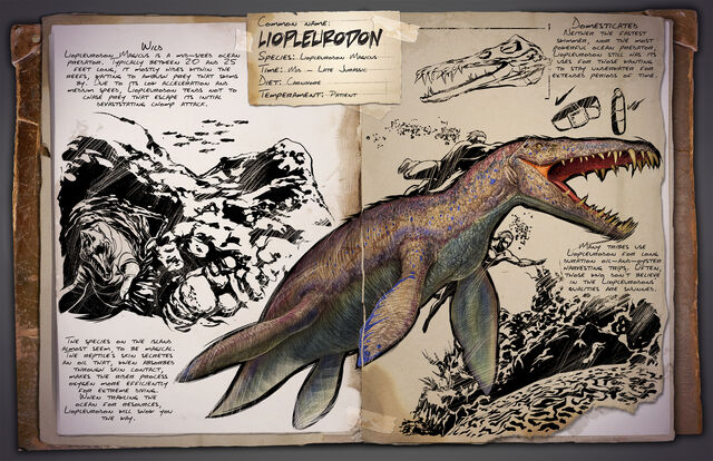 File:45 - Liopleurodon.jpg