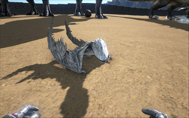 File:ARK-Dimorphodon Screenshot 009.jpg