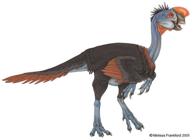 File:Oviraptor 03.jpg
