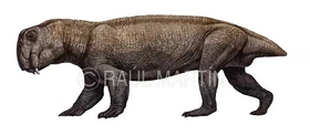 lystrosaurus ark wikia permian evolved survival statistics dicynodont prehistoric animales dinosaurs prehistricos