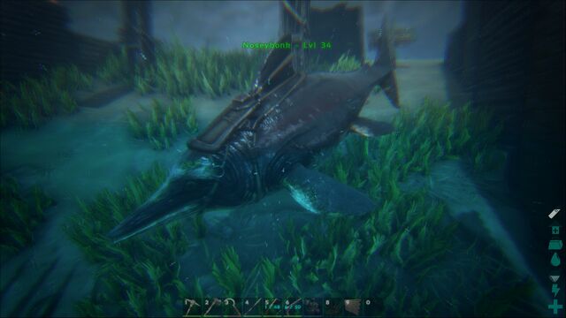 File:ARK-Ichthyosaurus Screenshot 007.jpg