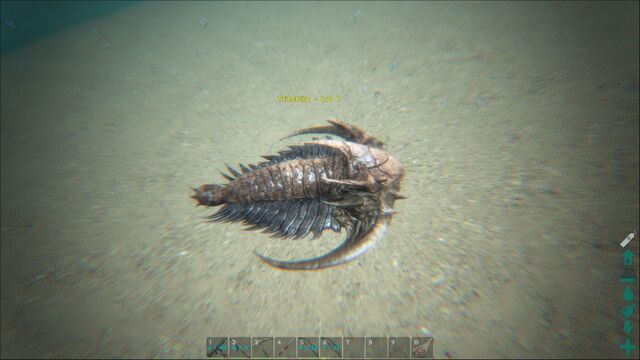 File:ARK-Trilobite Screenshot 001.jpg