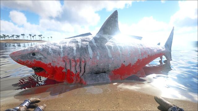File:800px-Megalodon PaintRegion5.jpg