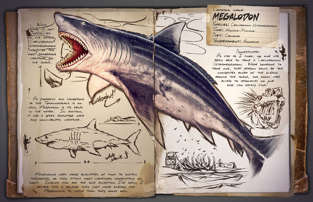 File:Megalodon.jpg