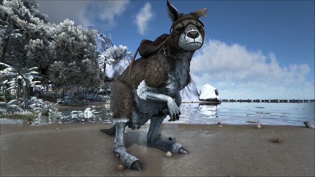 File:ARK-Procoptodon Screenshot 004.jpg