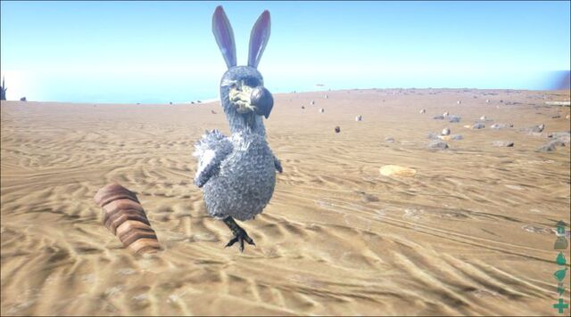 File:800px-BunnyDodo.jpeg