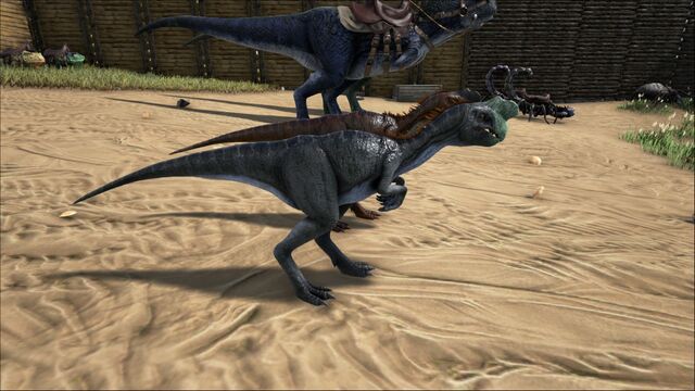 File:ARK-Oviraptor Screenshot 004.jpg