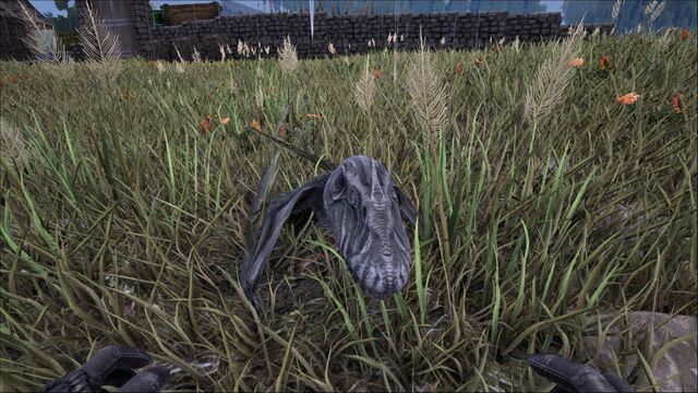 File:ARK-Dimorphodon Screenshot 003.jpg