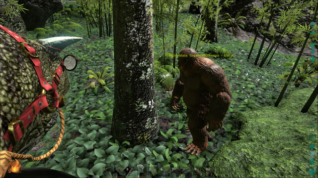 File:ARK-Gigantopithecus Screenshot 001.jpg