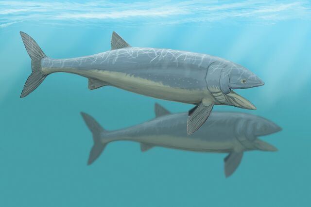 File:Leedsichtys092.jpg
