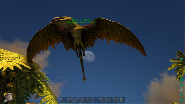 File:ARK-Dimorphodon Screenshot 001.jpg