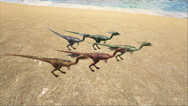 File:ARK-Compsognathus Screenshot 005.jpg