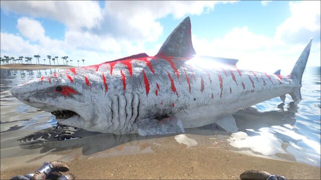 File:800px-Megalodon PaintRegion4.jpg