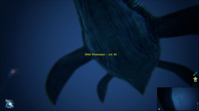 File:ARK-Plesiosaur Screenshot 003.jpg