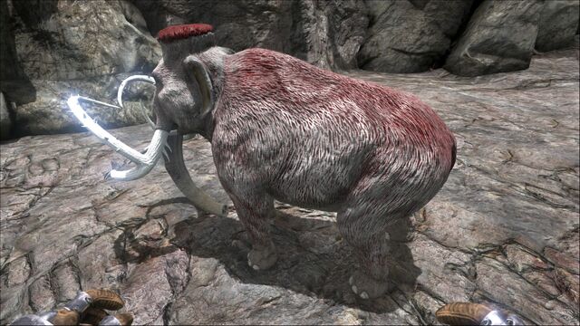 File:Mammoth PaintRegion4.jpg
