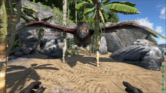 File:ARK-Argentavis Screenshot 004.jpg