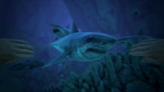 File:ARK-Megalodon Screenshot 002.jpg